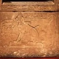 Nedjem