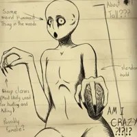 The Wood Stalker