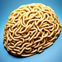 Noodlebrain