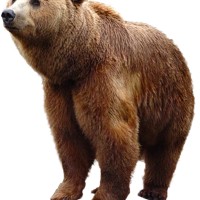 Fluffy