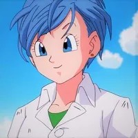 Bulma