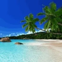 Tropical Island
